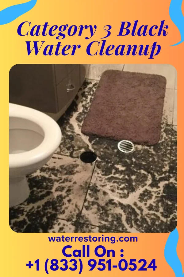 Category 3 Black Water Cleanup in Santa Cruz, CA